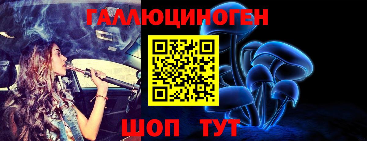 Псилоцибиновые грибы GOLDEN TEACHER Озёрск