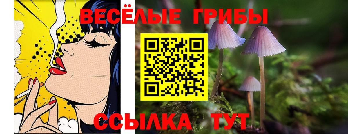дарнет шоп  Вход с VPN  Озёрск  Псилоцибиновые грибы Psilocybe 